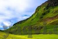 成年人的糖心app-探索成年人在移动互联网时代的社交新方式，糖心app的背后故事