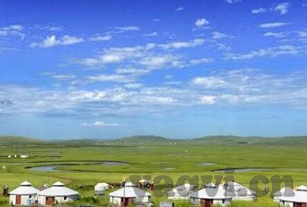大象传媒地址-大象传媒，连接创意与现实的桥梁