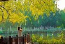 人妻沉沦-迷失的温柔，人妻沉沦的细腻剖析
