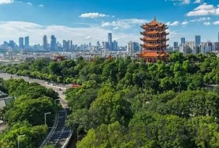 糖心VLOG网址-探索非遗的美妙画卷，揭秘糖心VLOG的魅力之旅