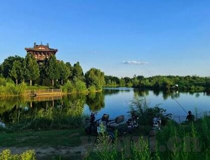 夏晴子麻豆视频-探寻真实与虚拟，从夏晴子麻豆视频现象谈网络文化的多元化与信息识别